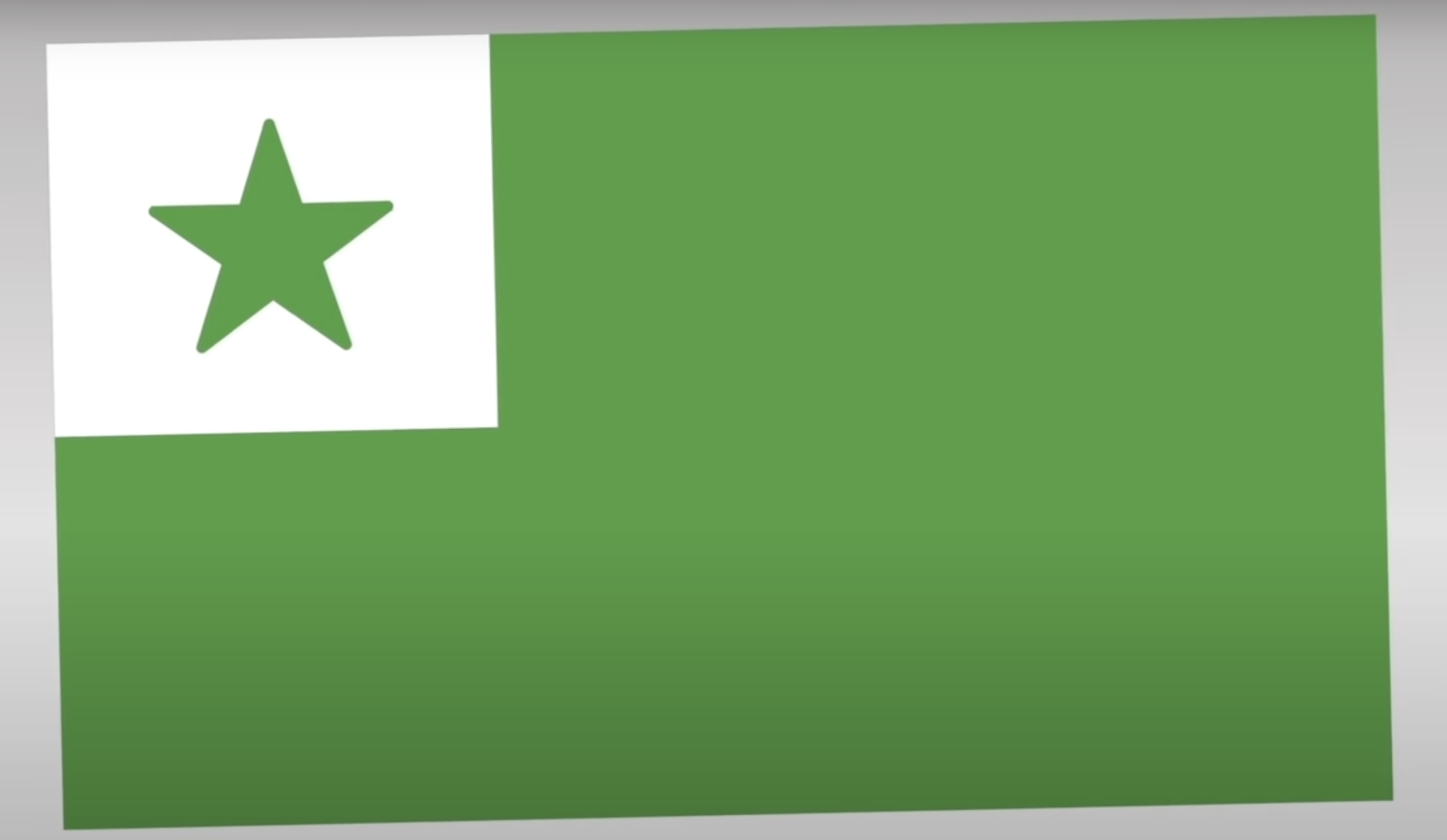 A green flag with a star

Description automatically generated